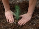 World Environment Day 2012: UNEP calls for action